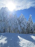 Paisaje nevado en Gambarie, Aspromonte
