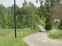 Tramo de pavé en la carrera