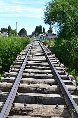 Vías ferroviarias de La Trochita en El Maitén
