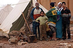 Refugiados iraquíes