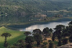 Vista general del paisaje patagónico y el entorno natural del lago Pulmarí.