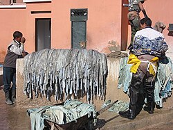 Pieles en proceso de curtido en Marrakech