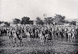 7.ª Compañía de la Schutztruppe en el África del Sudoeste Alemana.