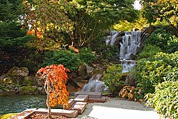 Cascada en el campus RedWest