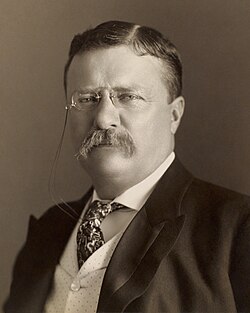 Retrato oficial de Theodore Roosevelt en 1904
