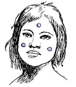 Dibujo que representa escenas y elementos del territorio chaqueño en Argentina