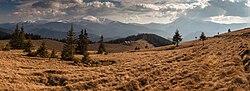 Paisaje natural en la Reserva de la biosfera de los Cárpatos