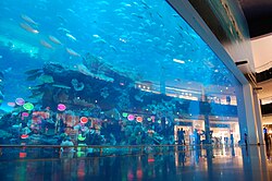 Dubái Mall Aquarium