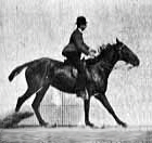 Secuencia fotográfica histórica de Eadweard Muybridge en 1887 sobre el salto vertical.