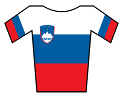 Maillot de campeón nacional de Eslovenia