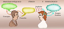 Proceso del habla