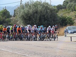 Pelotón de ciclistas transitando agrupados