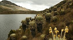 Parque Nacional Natural Cocuy
