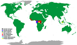 Mapa de distribución de todos homínidos