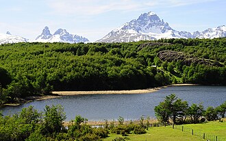 Vista panorámica del entorno natural del Lago Las Ardillas