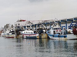 Barcos arrastreros de popa en el Puerto del Grao de Castellón