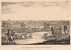 Carros tirados por bueyes en la pampa interior en 1821