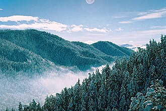 Bosque subalpino de coníferas en la Cordillera del Cáucaso Menor, Georgia