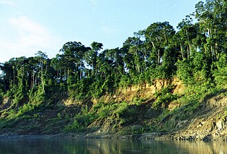 Paisaje del Parque Nacional del Manu