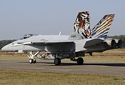 Un caza McDonnell Douglas F/A-18C Hornet de la Fuerza Aérea Suiza.