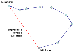 Diagrama bidimensional que ilustra la divergencia evolutiva
