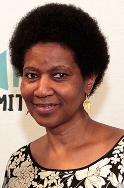 Phumzile Mlambo-Ngcuka en 2014