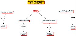 Áreas del lenguaje