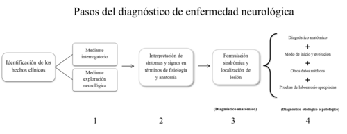 Diagrama de pasos para el diagnóstico neurológico
