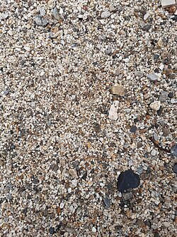 Cama de grava sedimentaria de origen natural
