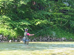 Pesca deportiva en el parque