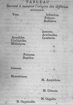 Esquema de la teoría lamarckiana