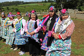 Mujeres mapuches de Tirúa en 2015