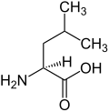 Representación molecular de la leucina