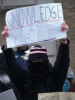 Manifestantes en una protesta pública