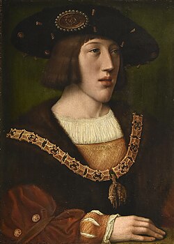 Carlos de Habsburgo adolescente con la condecoración del Toisón de Oro