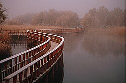 Vista del parque nacional de las Tablas de Daimiel