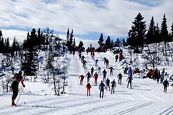 La Carrera Birkebeiner