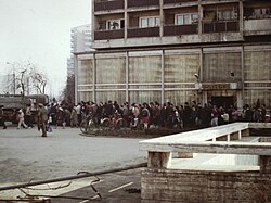 Colas para adquirir aceite de cocina en Bucarest en 1986