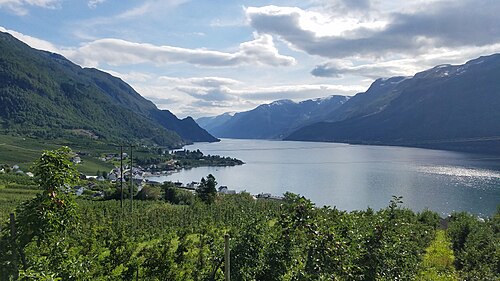 Valle de Hardanger con cultivos frutales