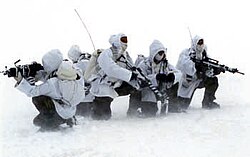Soldados Alpini de la Brigada Taurinesa