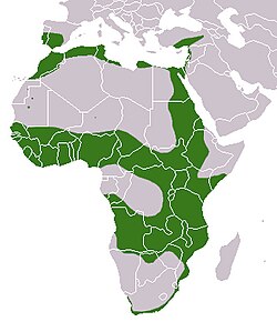 Mapa de distribución geográfica de Herpestes ichneumon