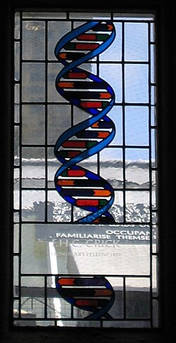 Placa conmemorativa dedicada a Francis Crick