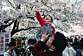 Hanami en el parque