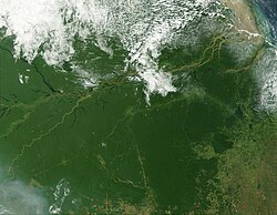 Vegetación densa de la Amazonia