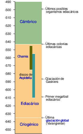 Esquema estratigráfico del Neoproterozoico y Paleozoico.