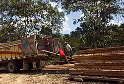 Actividades económicas en Madre de Dios
