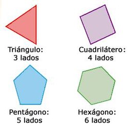 Diversos tipos de polígonos