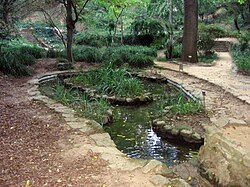 Zona arbolada del Jardín Botánico Histórico de Barcelona