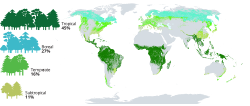 Distribución de la superficie forestal mundial