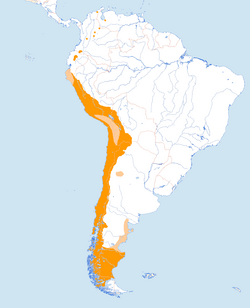 Mapa de ubicación geográfica del cóndor andino